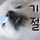 건강하오 이미지