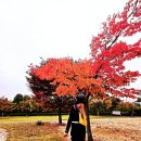 대한빌딩 이미지