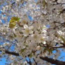 엄둔밸리 이미지