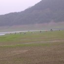 제일낚시 - 평택시 원평2로27번길 60 | 제일낚시