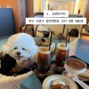 센텀동로 102 이미지