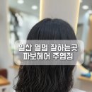 파보헤어 이미지
