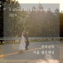 더파인루트