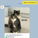 영희네케이크