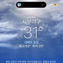 영락반점 이미지