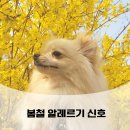 제주자연동물병원 이미지