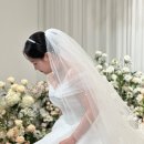 메리무드 | W 서울 웨딩시그니처 트리니티홀 아이폰스냅 메리무드스냅 내돈내산 본식 후기