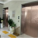 딜라이트피부과의원 이미지