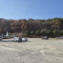 계산동 메타세콰이어 네이버블로그