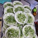 남도로스 이미지