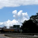 갱치식당 이미지