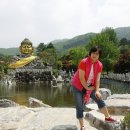 와우정사.성석산(영동고속도로 마성터널윗산) 이미지