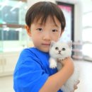 대실역남로4길 이미지