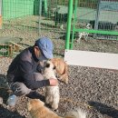법인소망 이미지