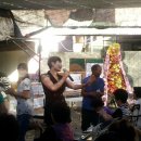 미나리광 이미지