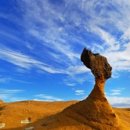 센스여행사(주) 이미지