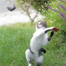 소근소근 이미지