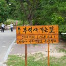 소백산자락길 11구간에서 들렀던 부석사 (2026.6.25일)