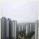 내포부동산공인중개사사무소 이미지