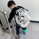 양주시 감동VR체험관 이미지
