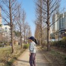 비전에너지㈜코리아 | 물에 타서 마시는 콜라겐 찾다가 만난 세노비스 비타콜라겐 듀얼 부스터 콜샷추 이너뷰티 후기