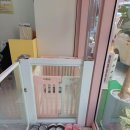 핫앤독 이미지