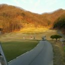 파가니카C.C 이미지