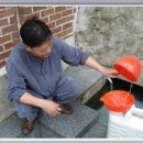 버드실샘 이미지