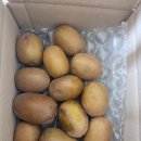 갈비농가 | 인스타 광고 농가살리기 골드키위 9900원 솔직후기