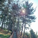 통영 천암산,장골산,여황산(북포루) 이미지