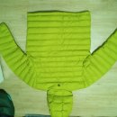 조이노스 이미지