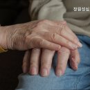 창원성심노인전문요양원 네이버블로그