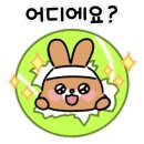 티와이테니스아카데미