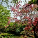 장수-15 Daum카페
