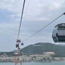 하나로카랜드 | 나트랑 빈펄랜드 빈원더스 꿀팁 하루코스 후기