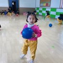 타이곤체육관 Daum카페