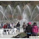 국화펜션 이미지