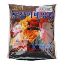 (주)케이티 이미지