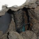 희망약국 이미지