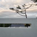 위클라드애견풀빌라 이미지