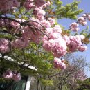 송림가든 이미지