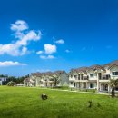 스파벨리스 이미지