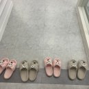 올리비아왁싱 - 수영구 | [천안왁싱] '충남 최초' 슈가링왁싱전문샵 후기 : 올리비아왁싱
