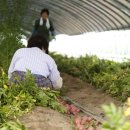 다올농장 이미지