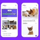 주식회사 두댓 이미지