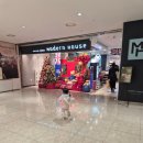 모던카 | 모던하우스 크리스마스 소품, 오너먼트 신상 구경 후기