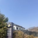 코코애견 | 시흥 대형견 애견카페 추천 | 코코 애견카페 보힌루랑 다녀온 후기