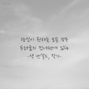 디피티 이미지