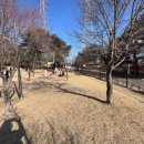 반려동물 테마공원(댕댕동산) 이미지
