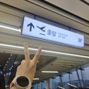 상봉바다마트 | 엄마 혼자 제주도 당일치기 여행 후기｜새벽 비행기 타고 다녀온 제주 여행